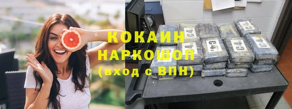 хмурый Алексин