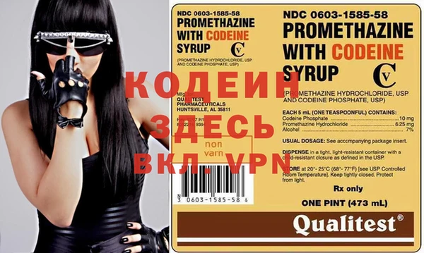 хмурый Алексин