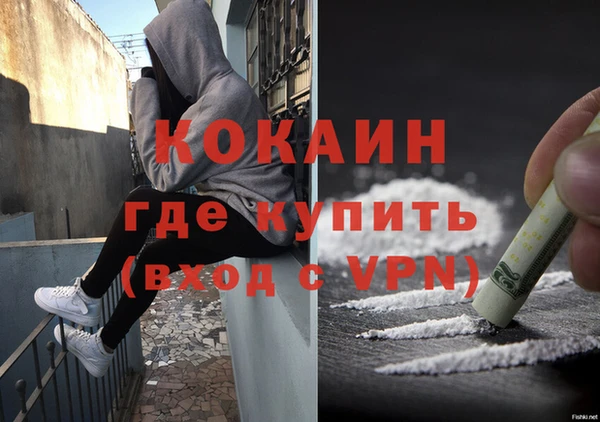 хмурый Алексин