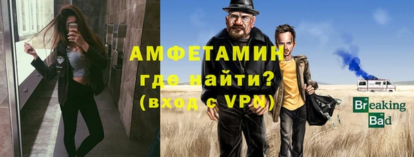 хмурый Алексин