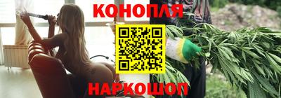 шишки Краснодар