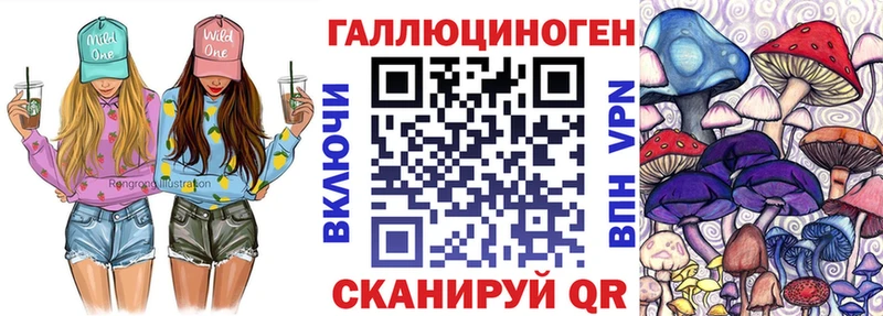 hydra ССЫЛКА  Елизово  Галлюциногенные грибы MAGIC MUSHROOMS 