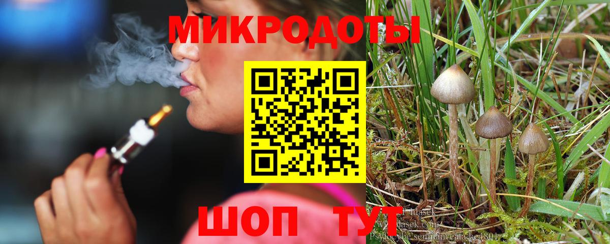 Елизово  Псилоцибиновые грибы мухоморы  Галлюциногенные грибы GOLDEN TEACHER  Вход с VPN 