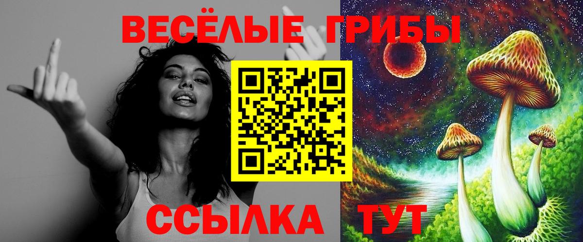 Галлюциногенные грибы прущие грибы Елизово